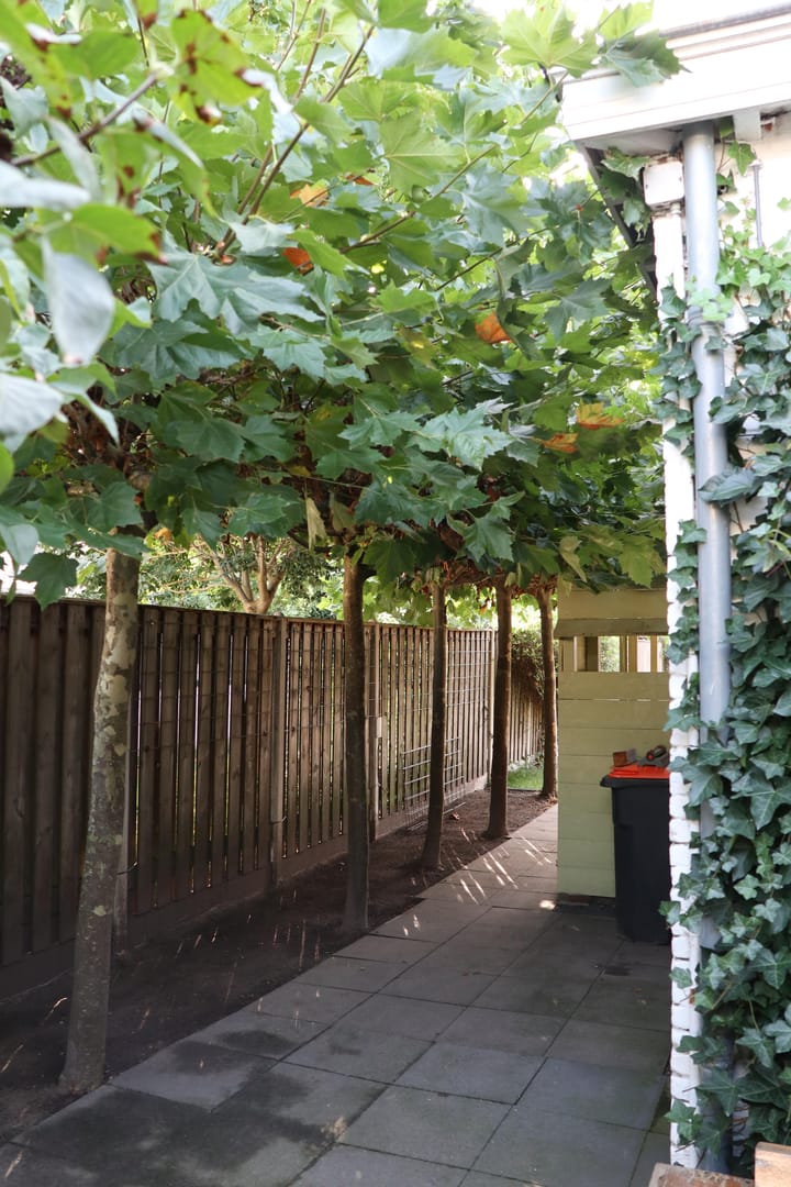 Foto 44 van Bredaseweg 156