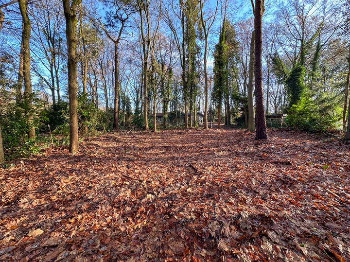 Foto 18 van Oekelsbos 7