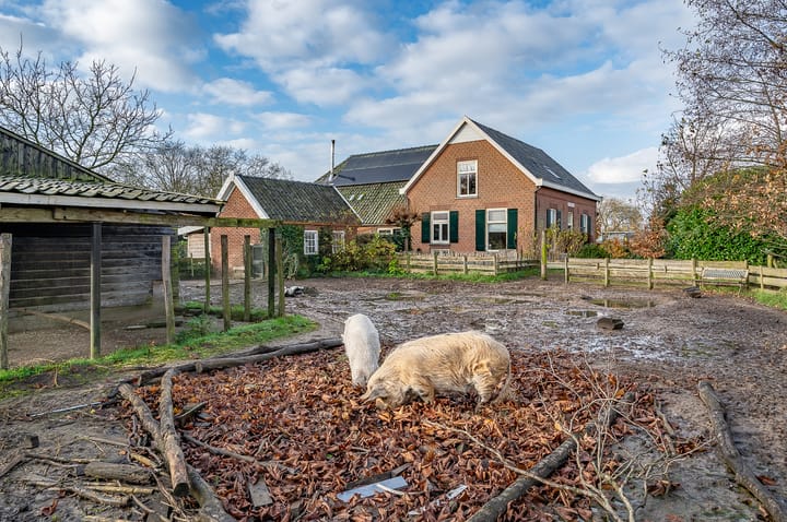 Foto 55 van Aaltenseweg 92