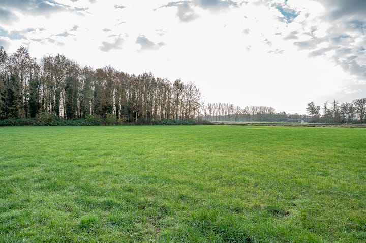 Foto 64 van Aaltenseweg 92