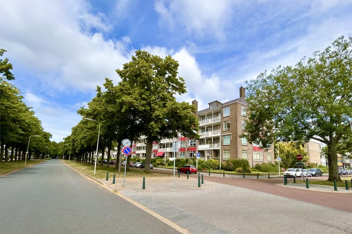 Foto 5 van Laan van Clingendael 15