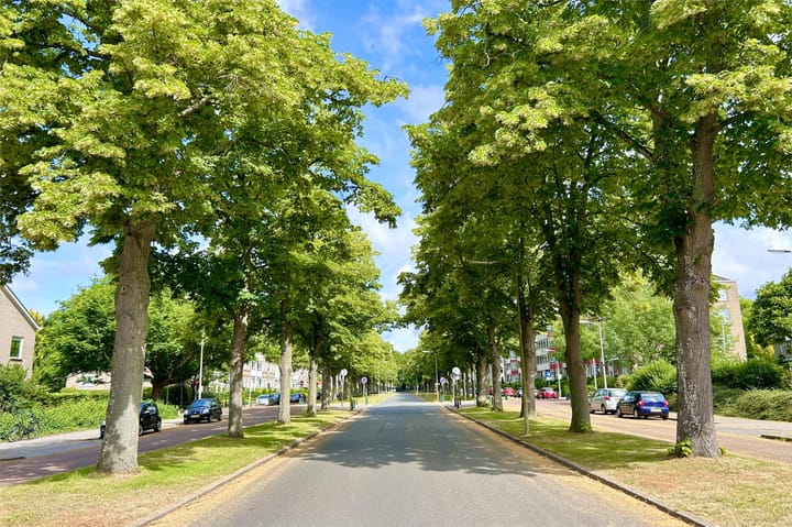 Foto 31 van Laan van Clingendael 15