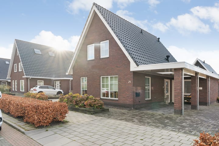 undefined main image