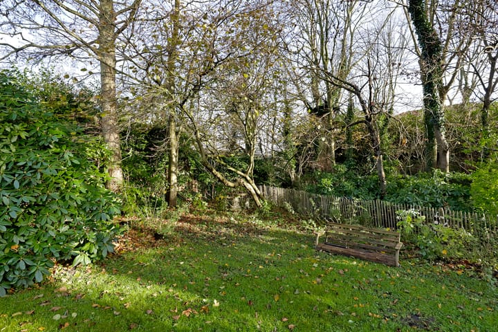 Foto 50 van Burghseweg 45