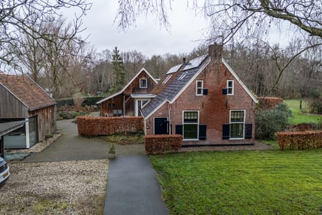 undefined main image