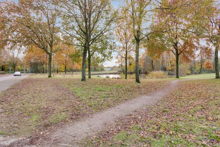 Foto 18 van Belgiëlaan 250