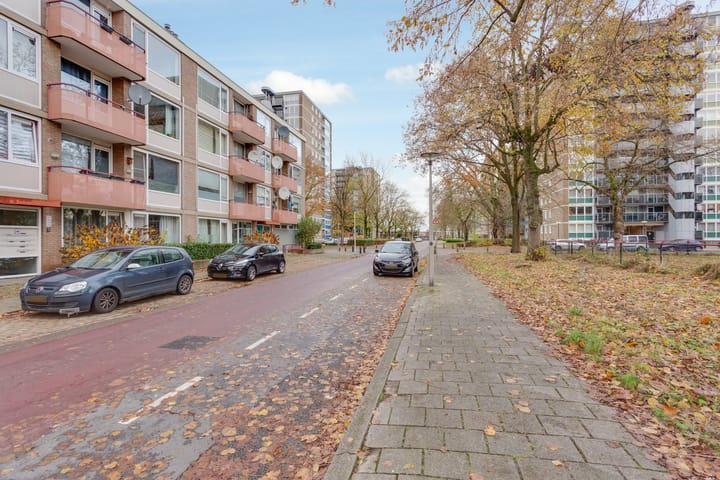 Foto 19 van Belgiëlaan 250