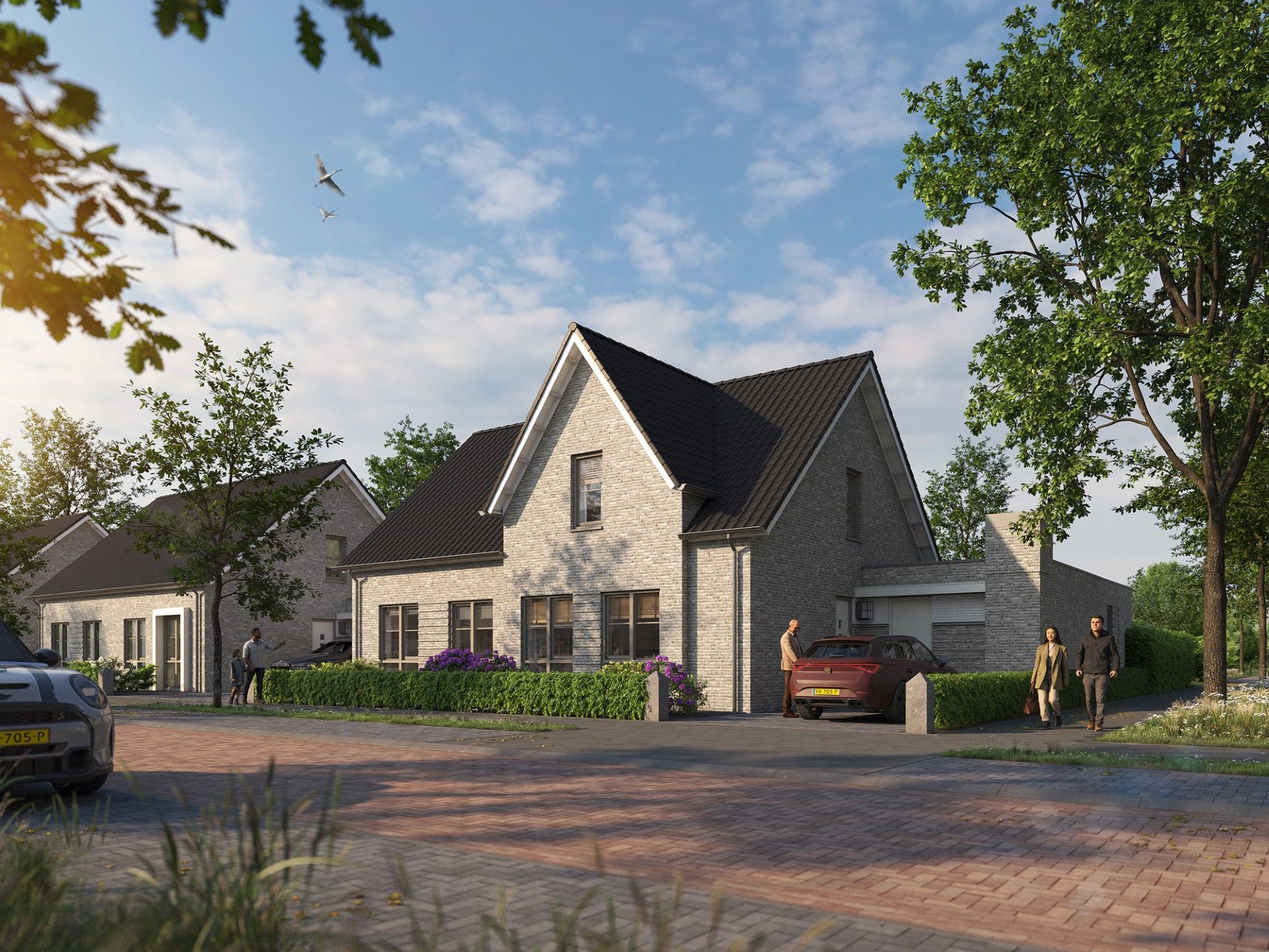 Lepelaar (Bouwnr. 15)  