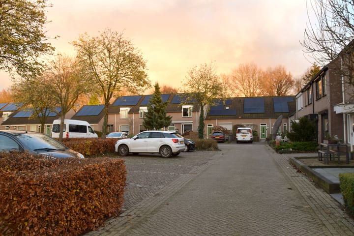 Foto 5 van Kardinaalsmuts 152