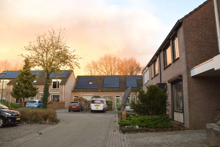 Foto 6 van Kardinaalsmuts 152