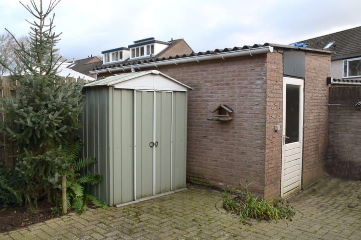 Foto 33 van Kardinaalsmuts 152