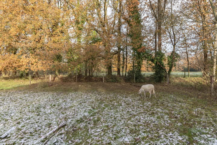 Photo 36 of Dorpsstraat 11