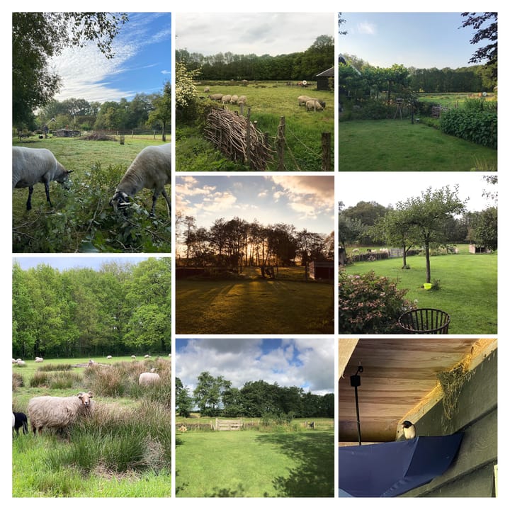 Photo 42 of Dorpsstraat 11