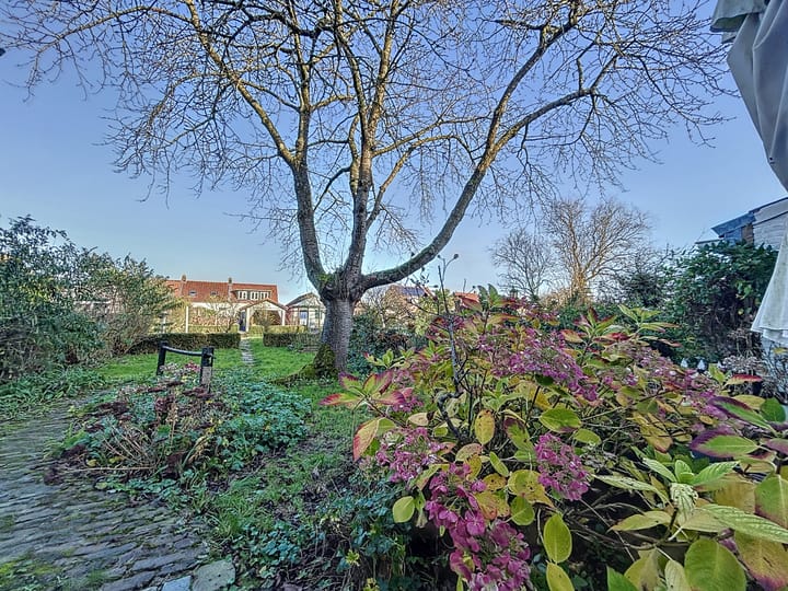 Foto 22 van Willemsweg 36