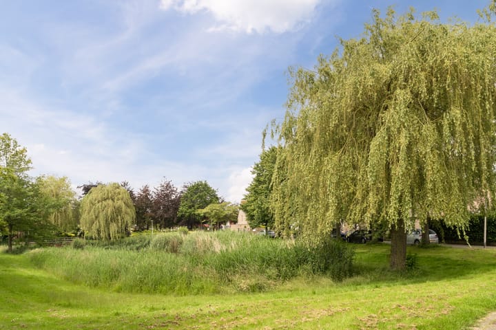 Foto 48 van Dijkplan 5