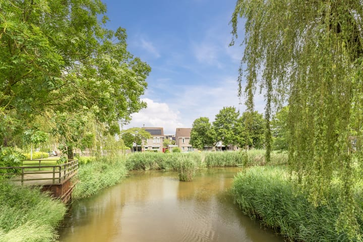 Foto 49 van Dijkplan 5