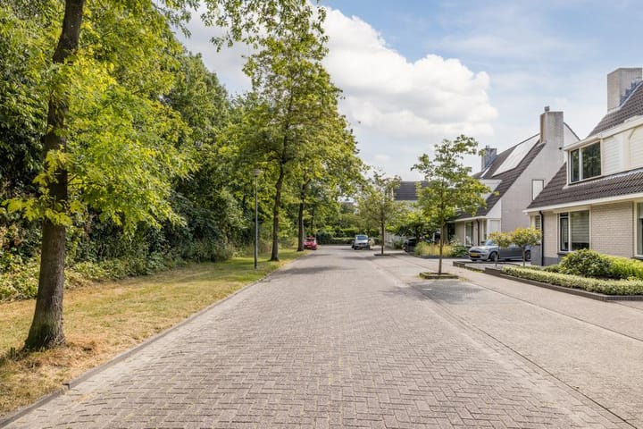 Foto 51 van Dijkplan 5