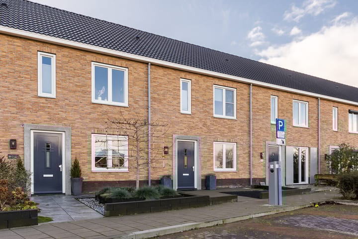 Foto 1 van Vezelvlas 33