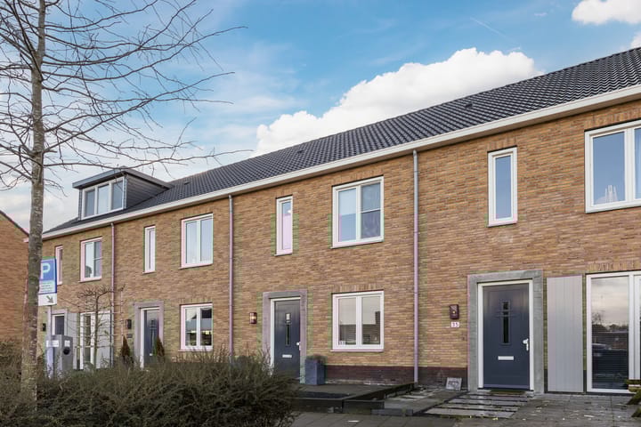 Foto 4 van Vezelvlas 33