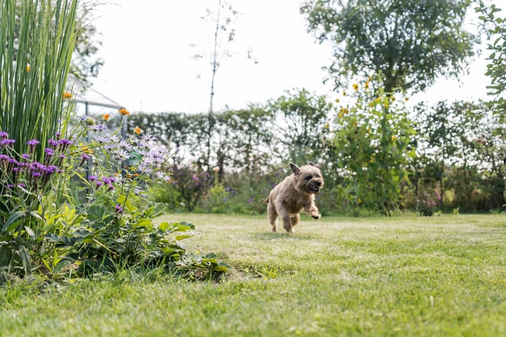 Photo 22 of Heereweg 35-D