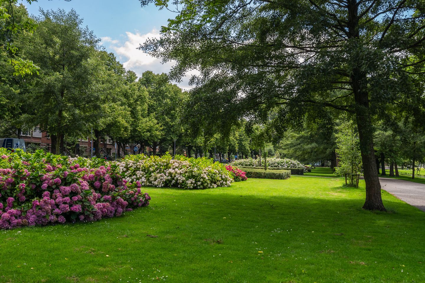 Foto 29 van Luzacstraat 28-B01