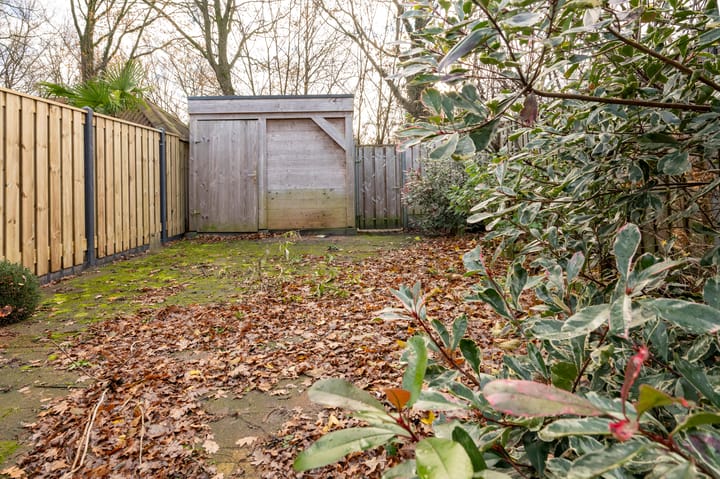 Foto 26 van Appelvink 8