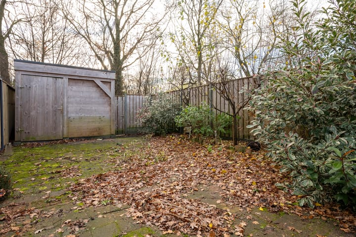 Foto 27 van Appelvink 8