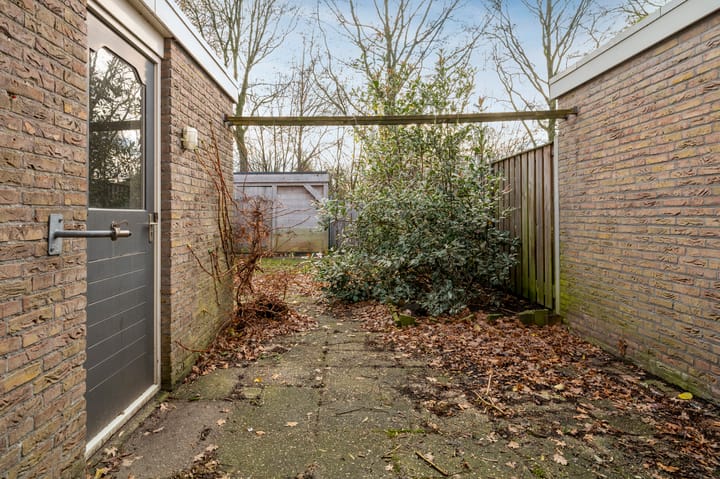 Foto 30 van Appelvink 8