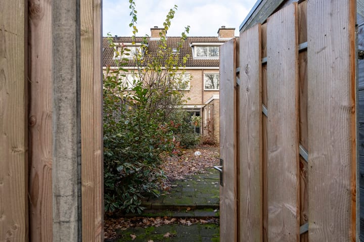 Foto 31 van Appelvink 8