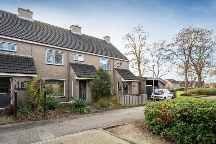 Foto 32 van Appelvink 8