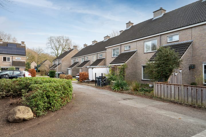 Foto 33 van Appelvink 8