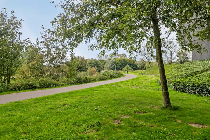 Foto 48 van Dirk Hartogstraat 169