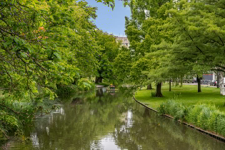 Foto 26 van Proveniersplein 4