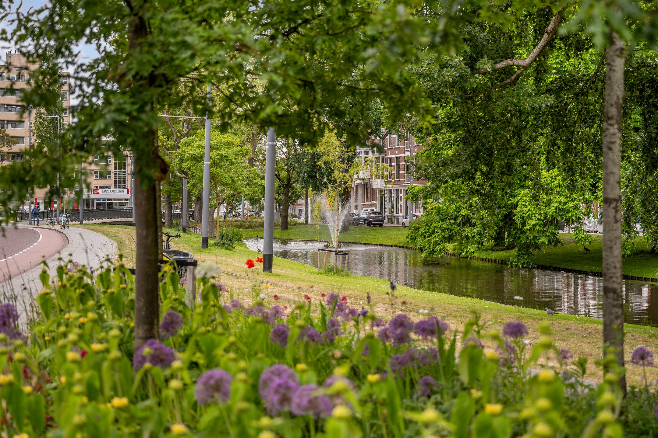 Foto 27 van Proveniersplein 4