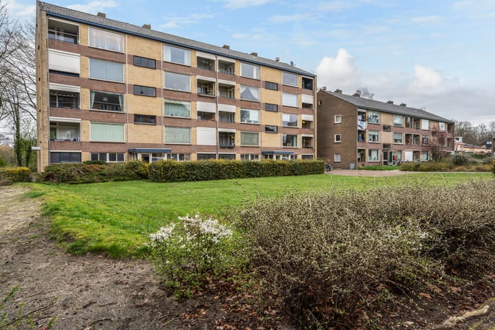 Foto 5 van Dommelstraat 138