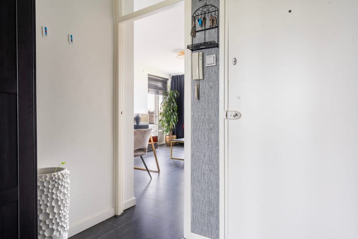 Foto 20 van Dommelstraat 138