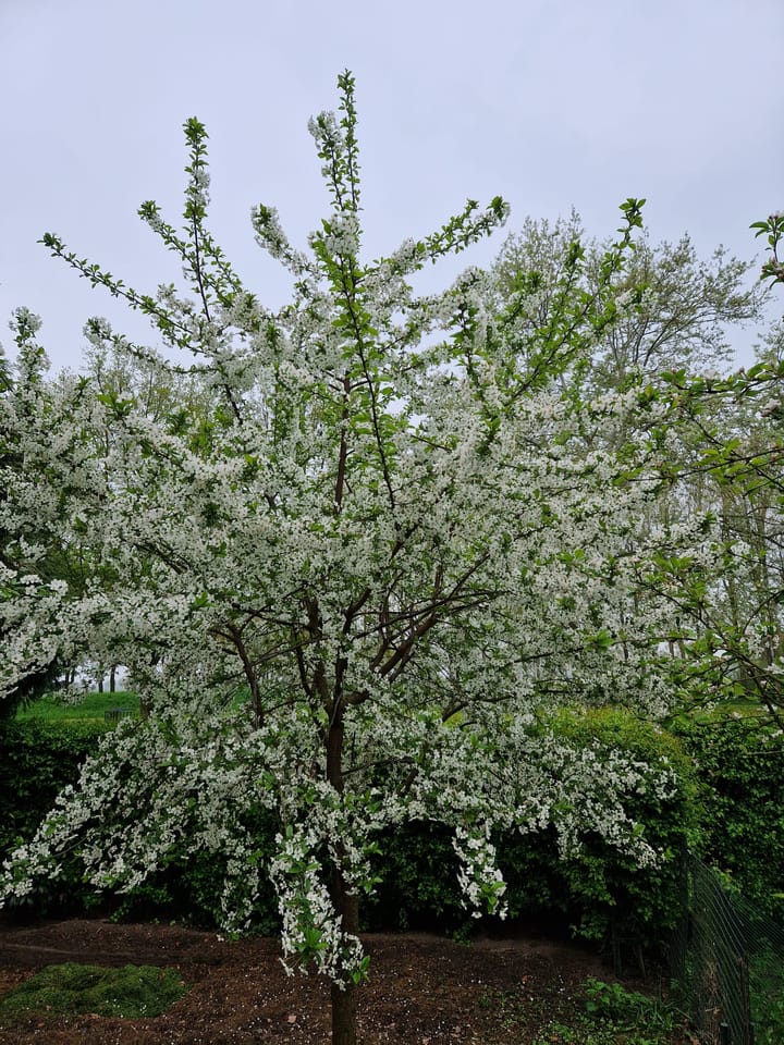 Foto 41 van Ringweg 13