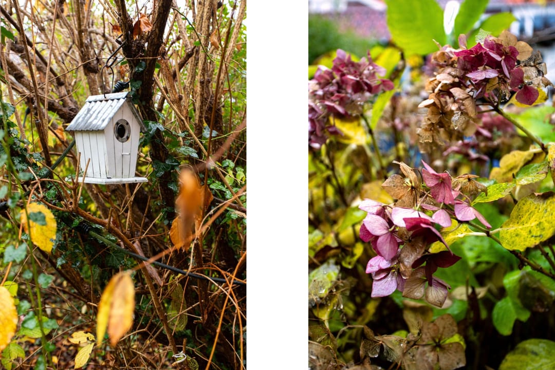 Foto 28 van Goudenregenlaan 22