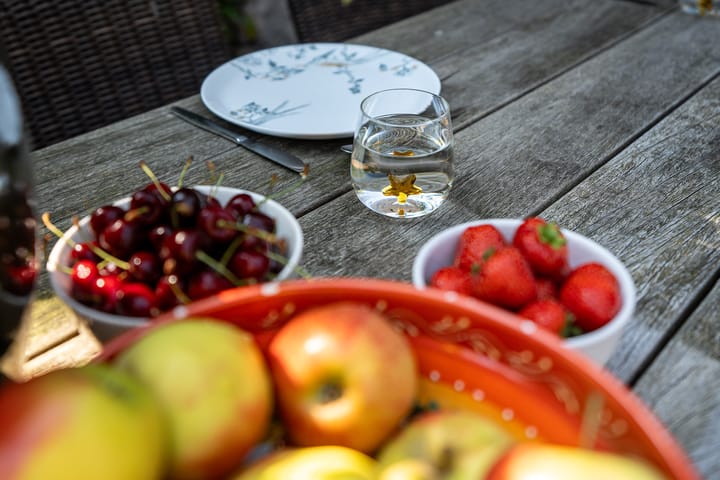 Foto 55 van Eewal 58