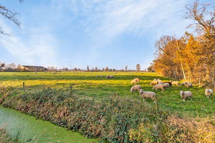 Bekijk foto 38 van Zomerweg 44