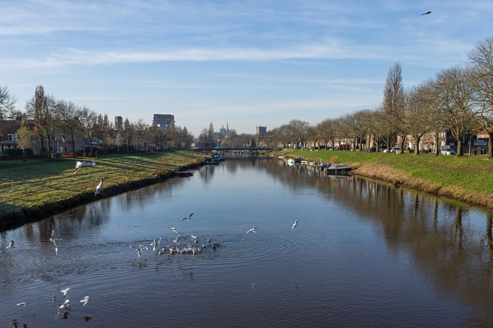 Bekijk foto 23 van Maassingel 302