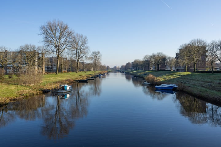 Bekijk foto 24 van Maassingel 302