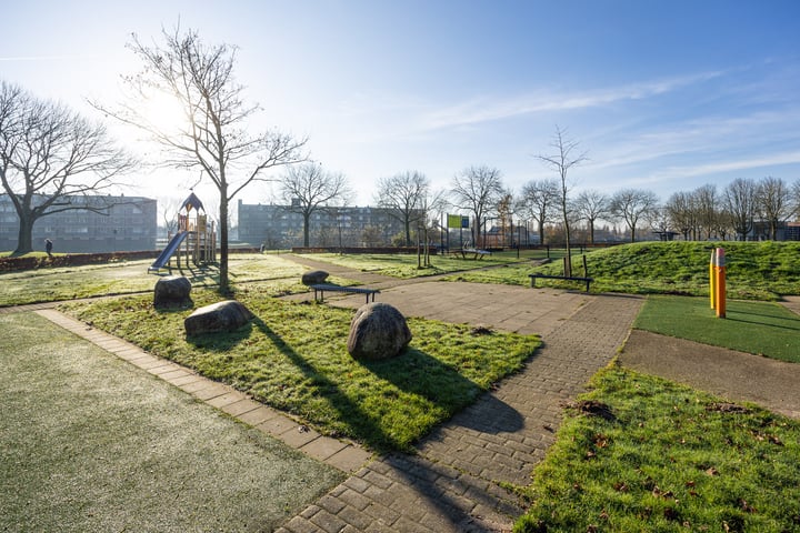 Bekijk foto 25 van Maassingel 302