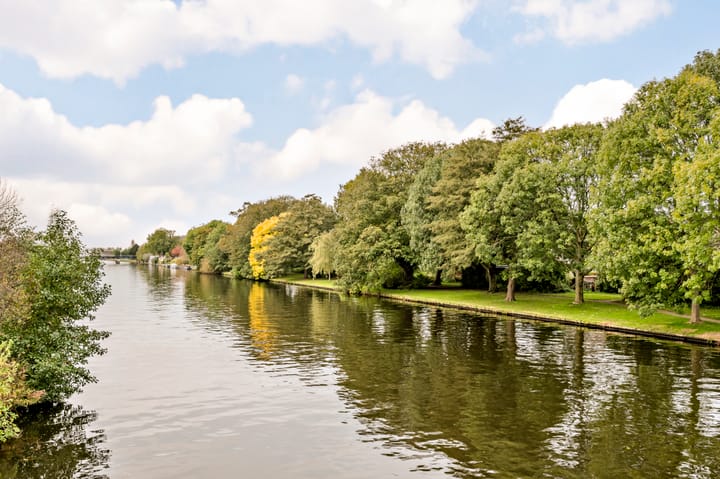 Foto 42 van Dahlialaan 76