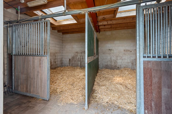 Foto 46 van Maasdijk 9