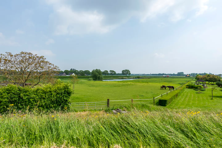 Bekijk foto 49 van Maasdijk 9