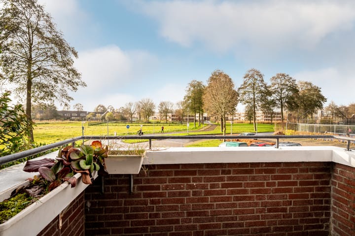 Foto 43 van Bosgouw 3