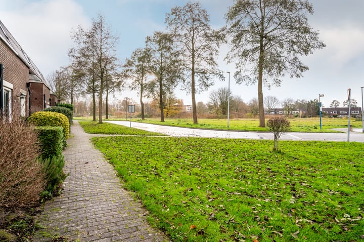 Foto 45 van Bosgouw 3