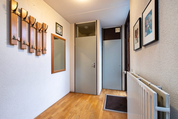 Foto 2 van de Papaver 3