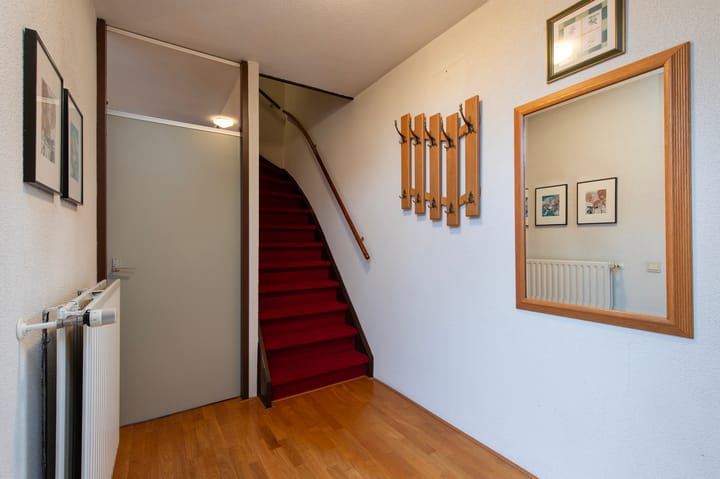 Foto 3 van de Papaver 3